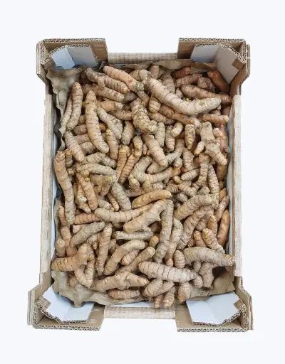 [1000267] Curcuma fresca 100g