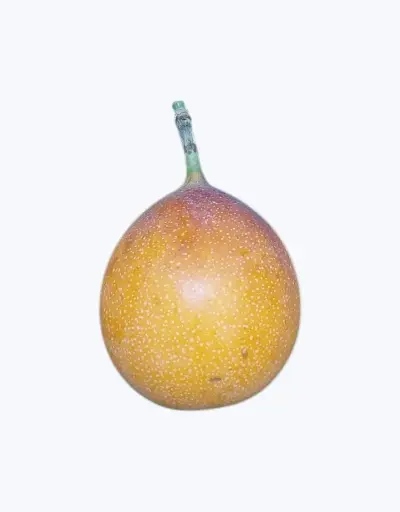 [1000282] Granadilla (unidad)