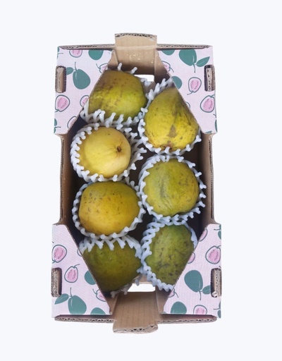 [1000285] Guayaba importacion