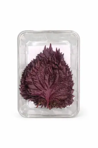 [1000293] Hojas de shiso roja