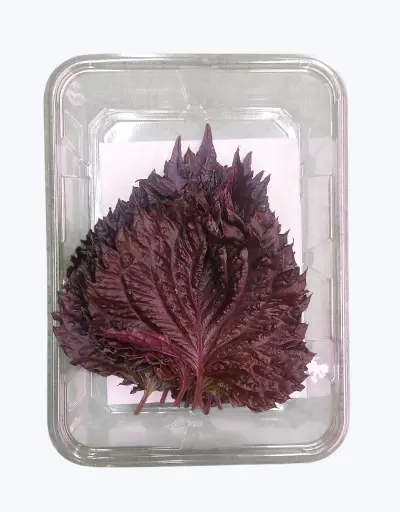 [1000293] Hojas de shiso roja