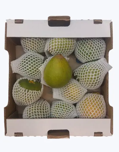 [1000332] Lucuma