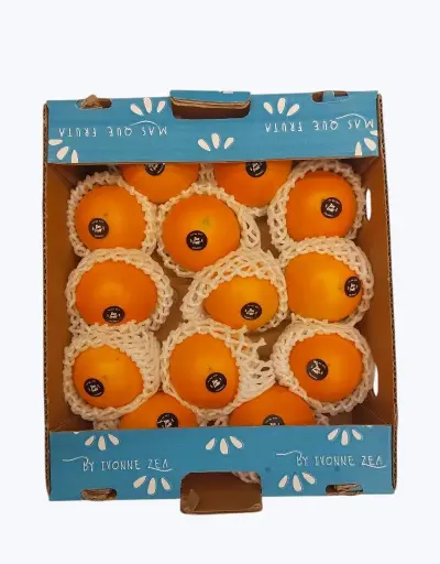 [1000334] Lulo o naranjilla