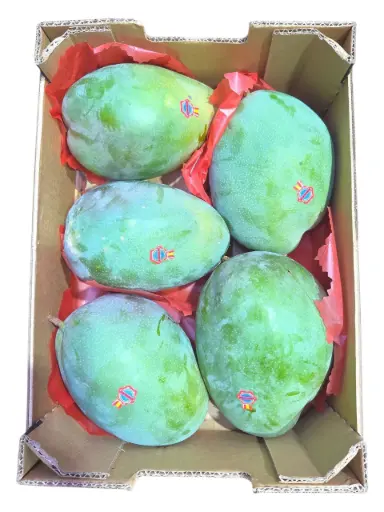 [1000354] Mango keitt