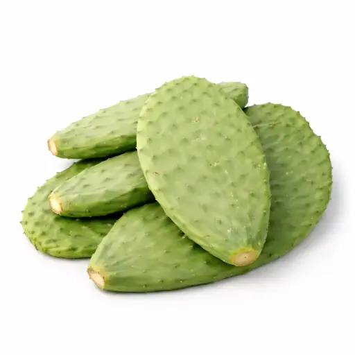 [1000380] Nopal