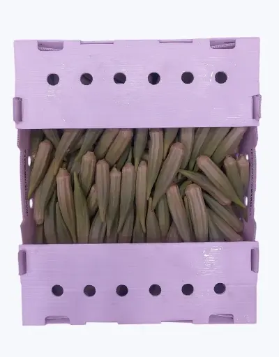 [1000384] Okra