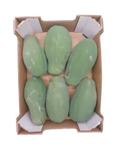 [1000388] Papaya thai