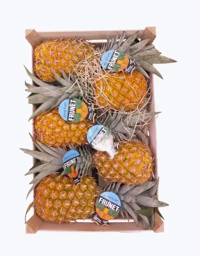 [1000401] Piña de barco