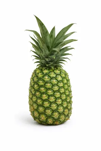 [1000401] Piña de barco