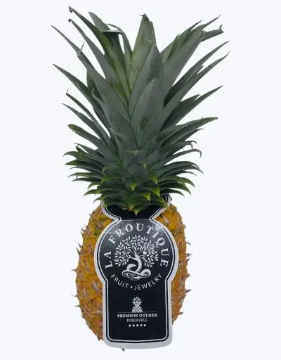 [1000404] Piña por avion