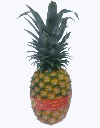 [1000405] Piña por avion (1 unidad)