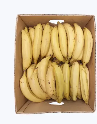 [1000411] Platano macho maduro