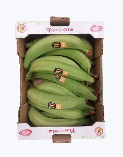 [1000413] Platano macho verde