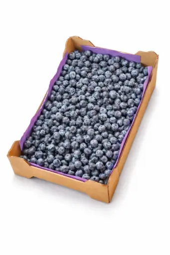 [1000464] Arándanos Azules Granel