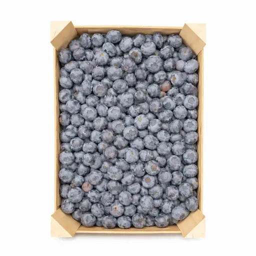 [1000465] Arándanos Azules Granel (Unidad)