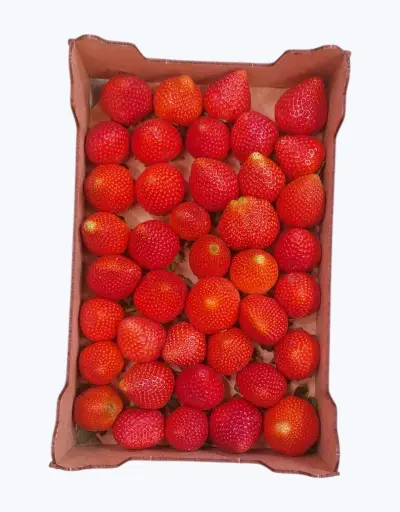 [1000485] Freson caja 1kg