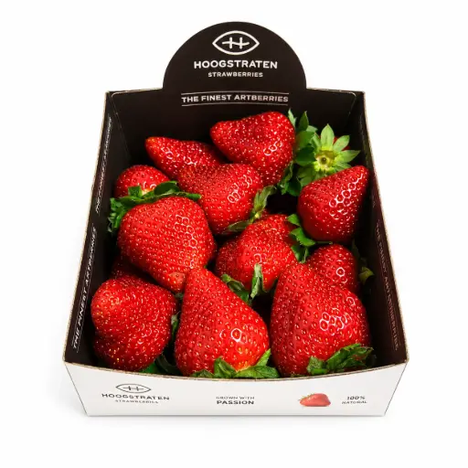[1000251] Freson Tarrina 500 g