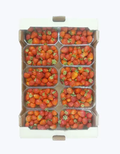 [1000251] Freson Tarrina 500 g