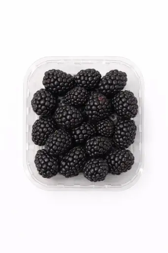 [1000480] Moras