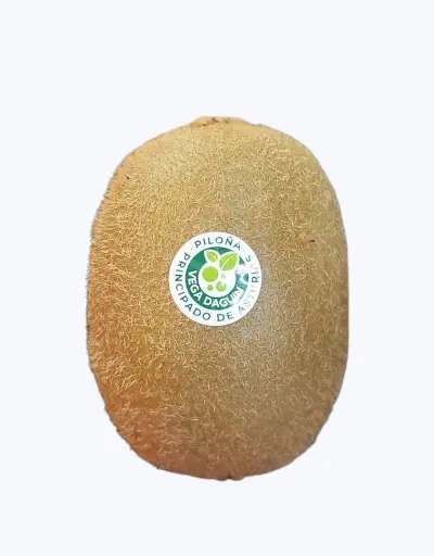 [1000530] Kiwi verde iberico (unidad)