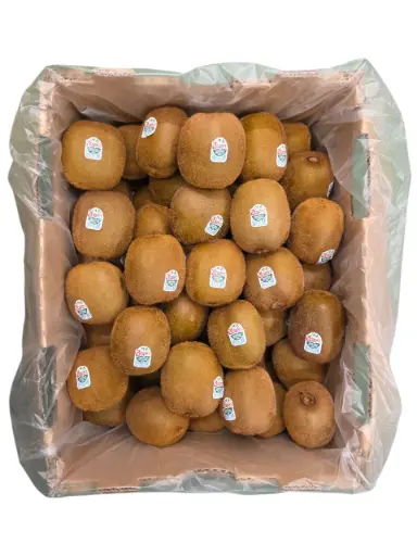 [1000531] Kiwi verde zespri