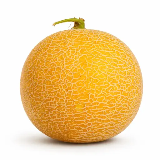 [1000353] Melón Galia