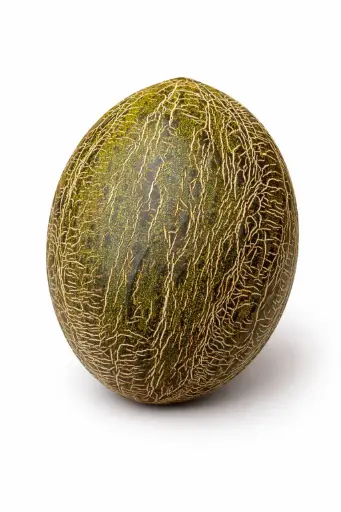 [1000362] Melón Piel de Sapo (Unidad)