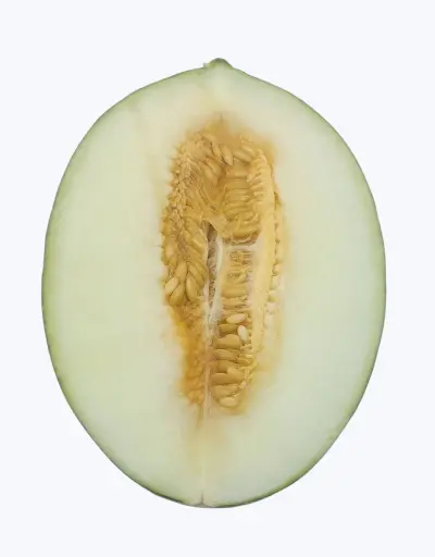 [1000549] Melon piel de sapo (1/2 unidad)