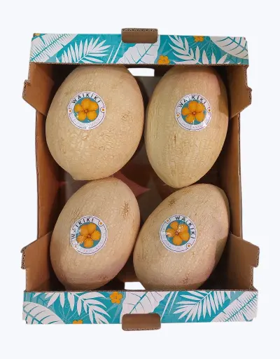 [1000363] Melón Waikiki