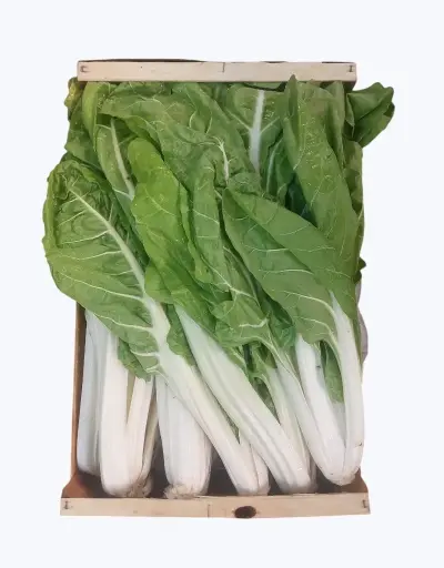 [1000594] Acelga verde penca ancha kg