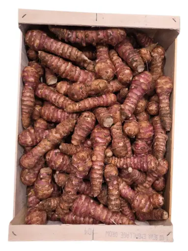 [1000600] Alcachofa de jerusalen