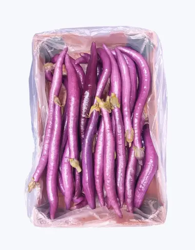 [1000624] Berenjena asiatica