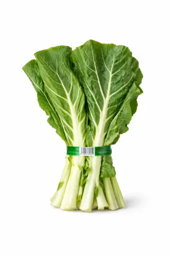 [1000638] Berza forrajera