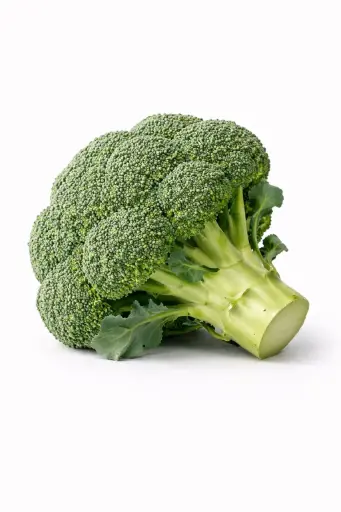 [1000737] Brocoli