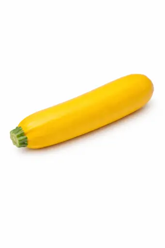 [1001078] Calabacin Amarillo