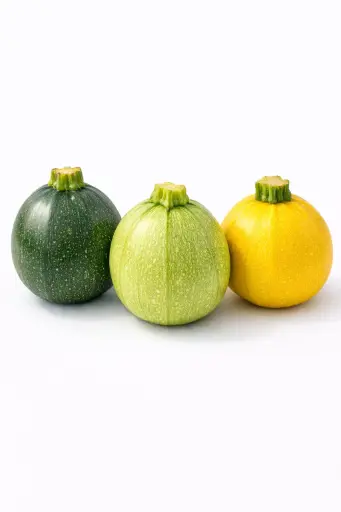 [1001096] Calabacin Zapallito de Colores