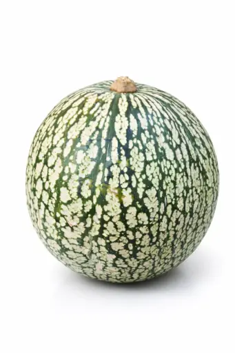 [1000672] Calabaza cabello de angel