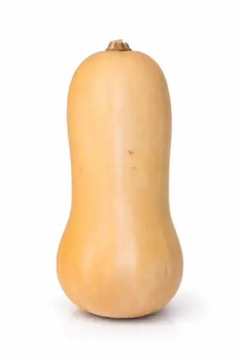[1001104] Calabaza Cacahuete