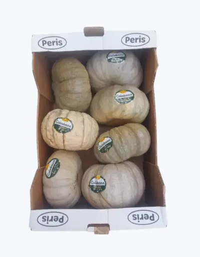 [1000695] Calabaza redonda azul