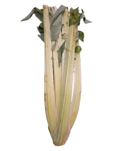 [1000705] Cardo al natural