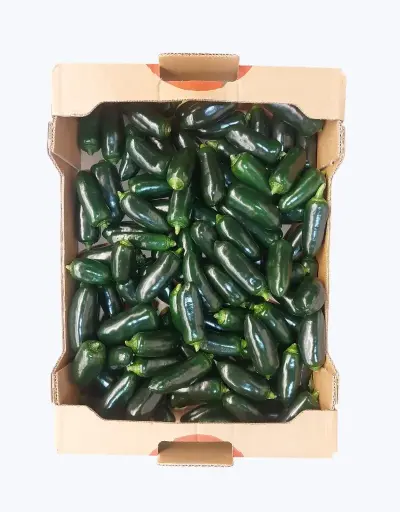 [1000715] Chile jalapeño verde