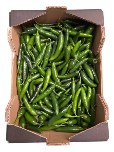 [1000719] Chile serrano verde