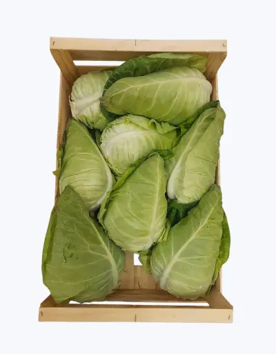 [1000735] Col picuda