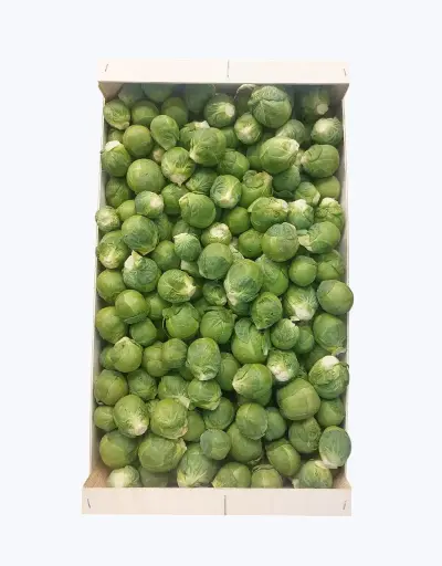 [1000739] Coles de bruselas verdes