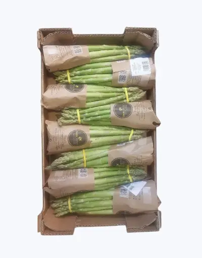 [1000773] Esparrago verde extra
