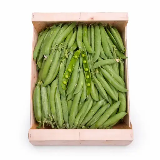 [1000793] Guisante salta lagrima