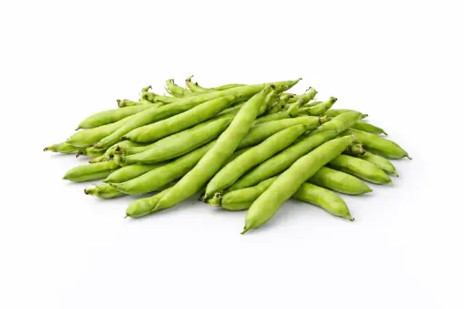 [1000795] Haba fina fresca