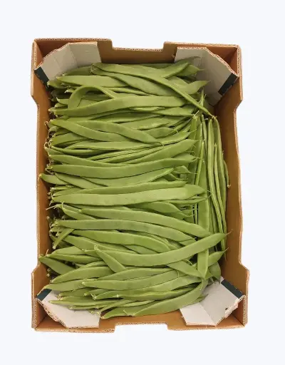 [1000827] Judia verde extra