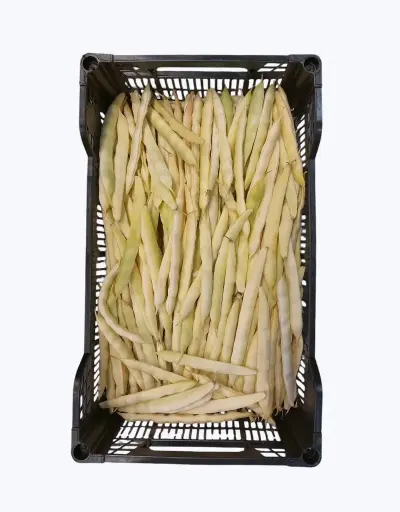 [1000829] Judias pochas frescas