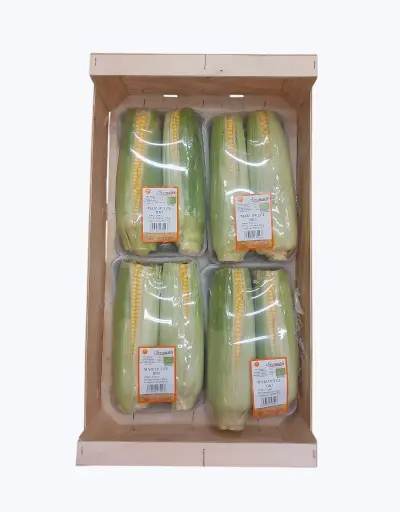 [1000834] Maiz mazorca